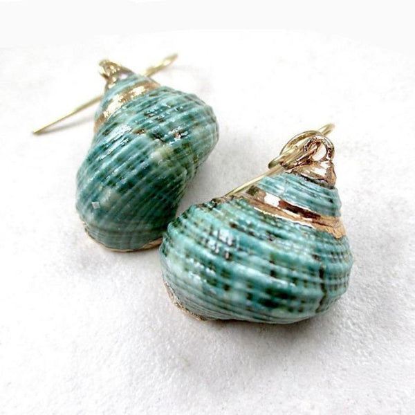 Aqua Green Turbo Shell Earrings Chunky Dangles with Gold Accents