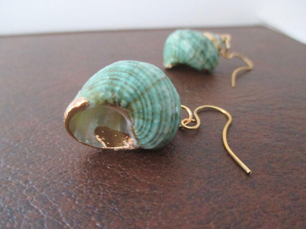 Aqua Green Turbo Shell Earrings Chunky Dangles with Gold Accents