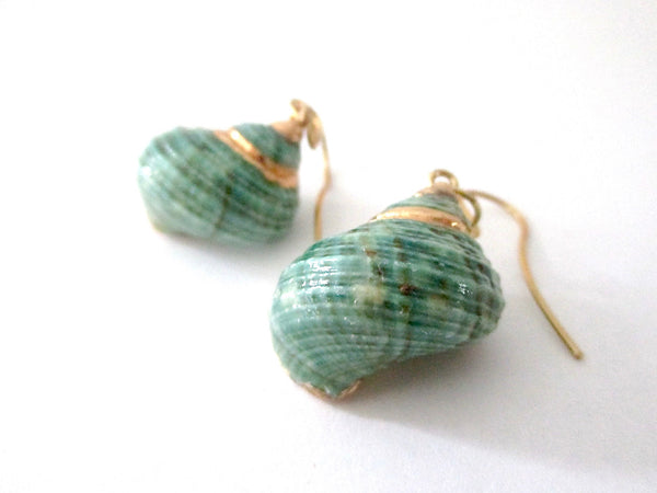 Aqua Green Turbo Shell Earrings Chunky Dangles with Gold Accents