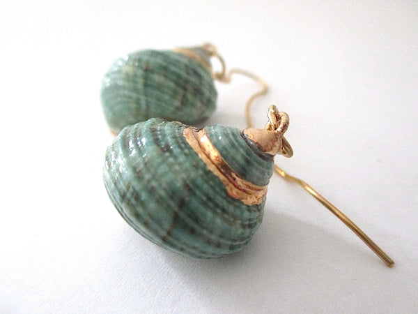 Aqua Green Turbo Shell Earrings Chunky Dangles with Gold Accents