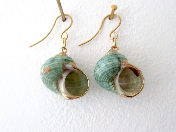 Aqua Green Turbo Shell Earrings Chunky Dangles with Gold Accents